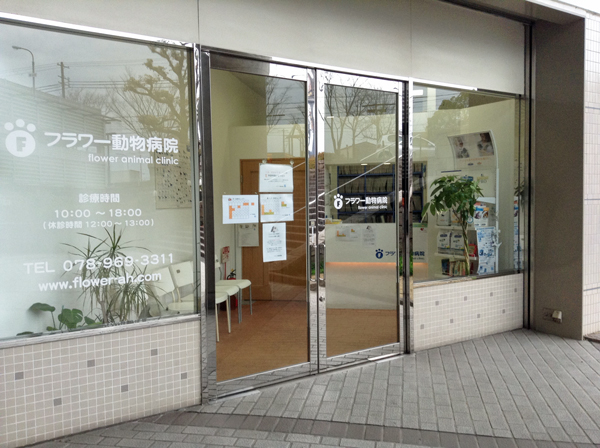 神戸・明石のフラワー動物病院